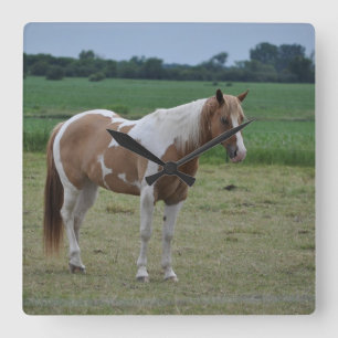 Tobiano Paint Horse Vierkante Klok