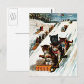 toboggan-katten briefkaart (Voorkant / Achterkant)