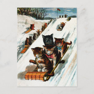  toboggan-katten briefkaart