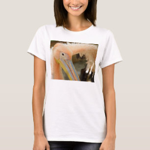 T'observer Pélican Femmes T-shirt