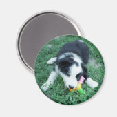 Toby3 Magneet (Voorkant / Achterkant)