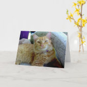 Toby la carte de voeux de chat (Fleur jaune)