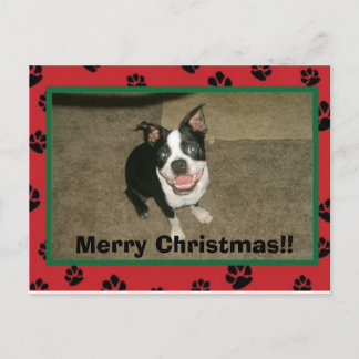 Tobyxmascard, Vrolijk kerstfeest!! Feestdagenkaart