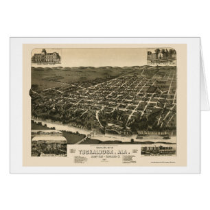 Tocaloosa, AL Panoramische Kaart - 1887