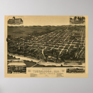 Tocaloosa, AL Panoramische Kaart 1887 Poster