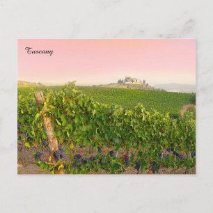 Tocany Italy Stylish Italiaans Villa Vineyard Briefkaart