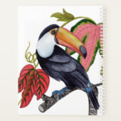Toco Toucan (Dos)