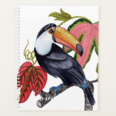 Toco Toucan (Devant)