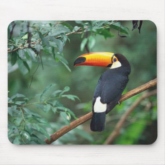 Toco Toucan Bird Mousepad Muismat (Voorkant)