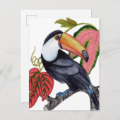 Toco Toucan Briefkaart (Voorkant / Achterkant)