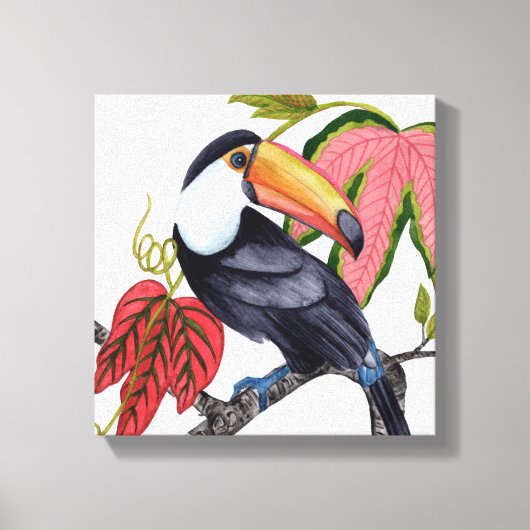 Toco Toucan Canvas Afdruk (Voorkant)
