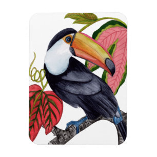 Toco Toucan Magneet