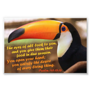 Toco Toucan met Psalm 145:15-16 Foto Afdruk