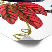 Toco Toucan Poster (Hoek)