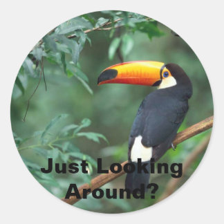 Toco Toucan, rondkijken? Ronde Sticker