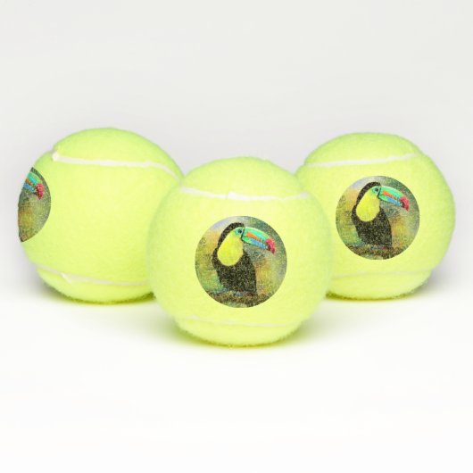 Toco Toucan Tennisballen (Multi)