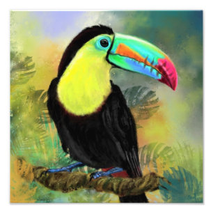 Toco Toucan Vogelschilderij Poster Print