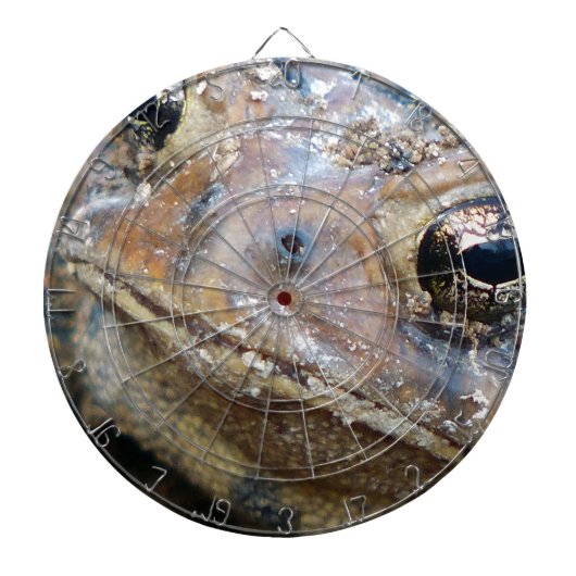 Todaat Dartbord (Voorkant)