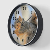 Todays-furball (Hoek)