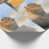 Todays-furball Cadeaupapier (Hoek)