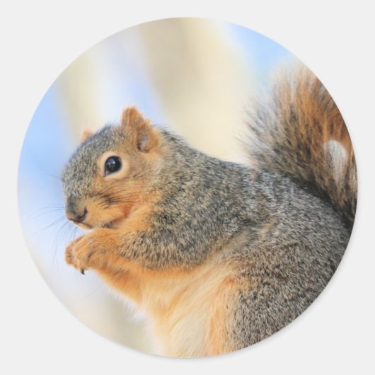 Todays-furball Ronde Sticker (Voorkant)