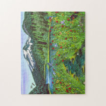 Todd Lake Puzzle
