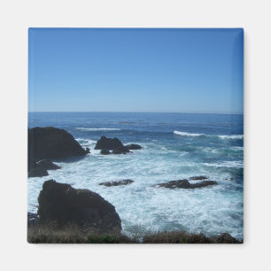 Todd's Point in Fort Bragg, Californië Magneet