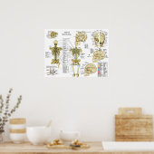 Toegepast kinsiologisch Poster (Keuken)