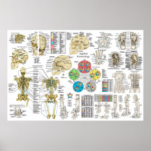 Toegepast Poster op kinsiologie