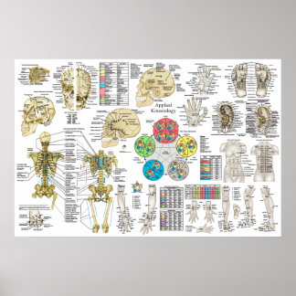 Toegepast Poster op kinsiologie