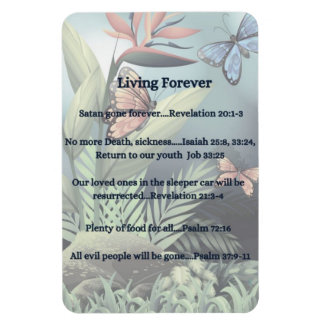 Toekomstige belofte magneet