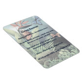 Toekomstige belofte magneet (Rechterzijde)