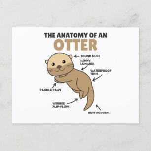 Toelichting ter vervanging van een otter briefkaart