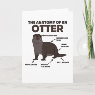 Toelichting ter vervanging van een otter kaart