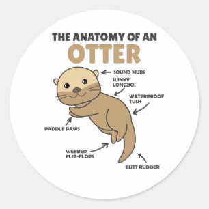 Toelichting ter vervanging van een otter ronde sticker