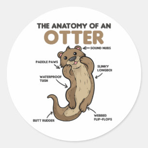 Toelichting ter vervanging van een otter ronde sticker