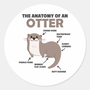 Toelichting ter vervanging van een otter ronde sticker