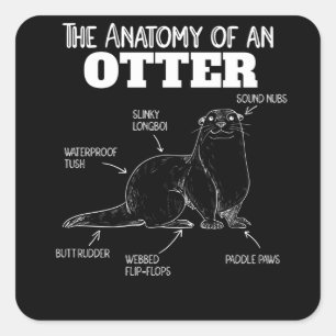Toelichting ter vervanging van een otter vierkante sticker