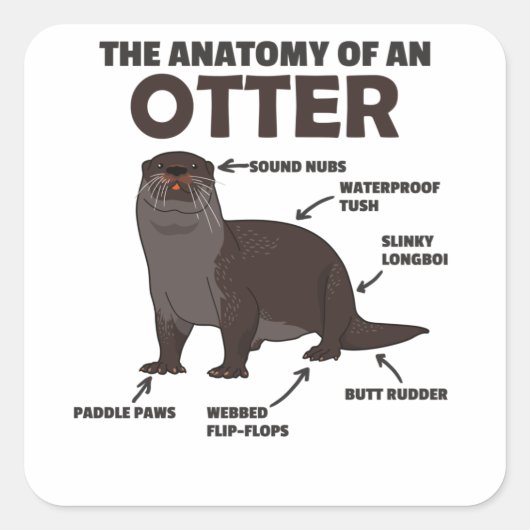 Toelichting ter vervanging van een otter vierkante sticker (Voorkant)