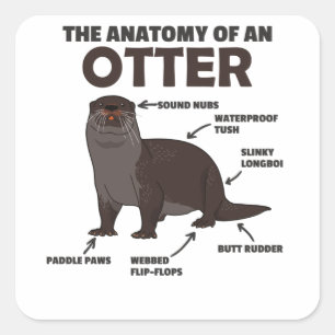 Toelichting ter vervanging van een otter vierkante sticker