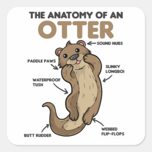 Toelichting ter vervanging van een otter vierkante sticker