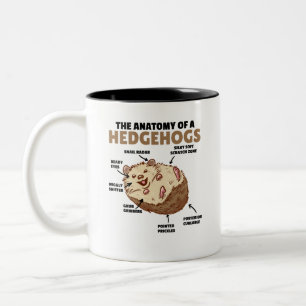 Toelichting van een egel in de Cute Egel: Anatomie Tweekleurige Koffiemok
