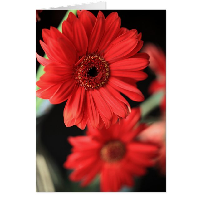 Toen ik een affaire had (Voorkant)