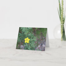 Toendra Roos - 4" x 5.6" Notitiekaart