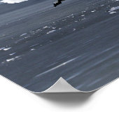 Toendra Swan Icy Takeoff Poster (Hoek)