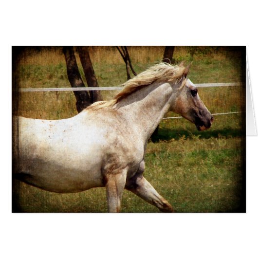 Toepassen (Voorkant Horizontaal)