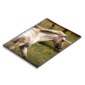 Toepassen Notitieboek (Linkerzijde)