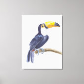 Toerasbare tropische vogel canvas afdruk (Voorkant)