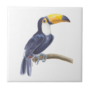 Toerasbare tropische vogel tegeltje