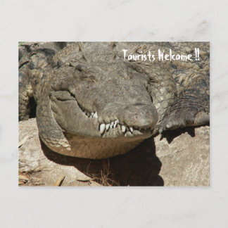 Toeristen Welkom!! - Krokodil - Briefkaart